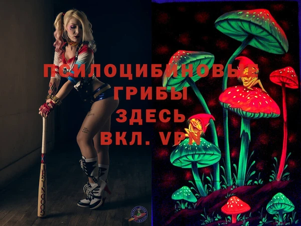 мдпв Алзамай